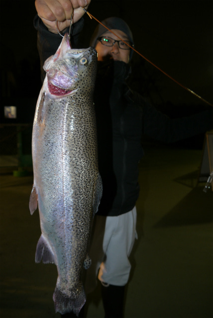 としまえんフィッシングエリア 釣果