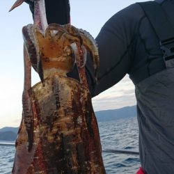 シースナイパー海龍 釣果