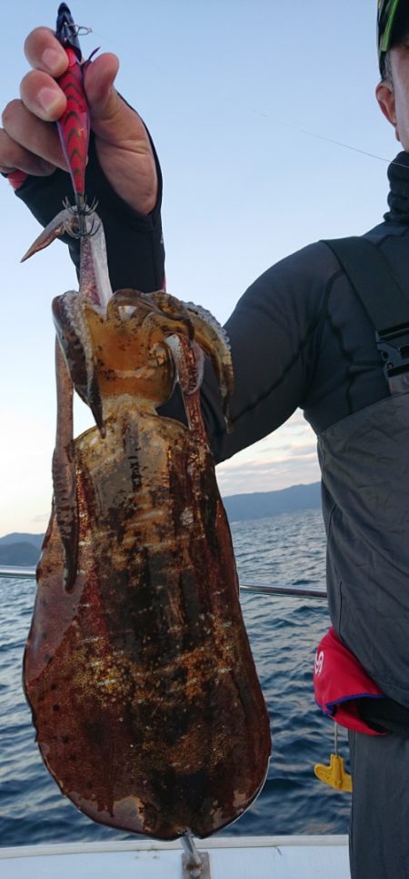 シースナイパー海龍 釣果