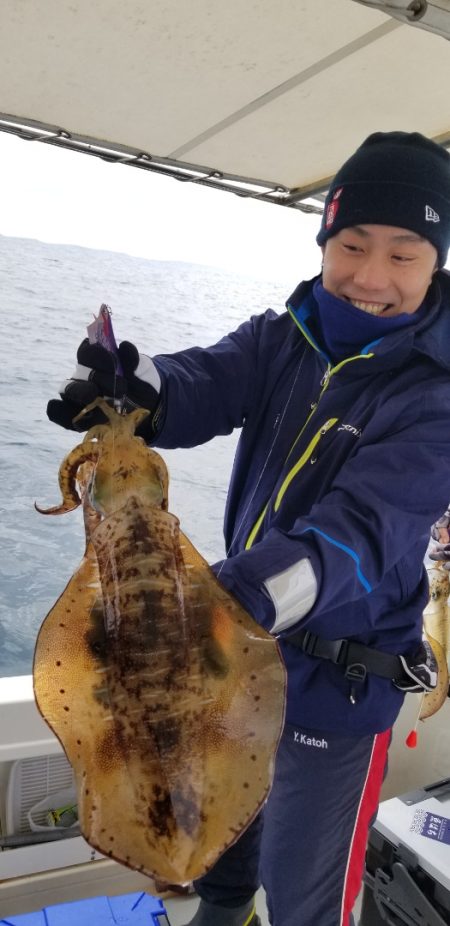 ソルトウォーターガイドフレンズ 釣果