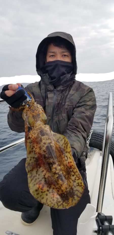 ソルトウォーターガイドフレンズ 釣果