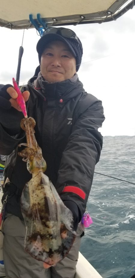 ソルトウォーターガイドフレンズ 釣果