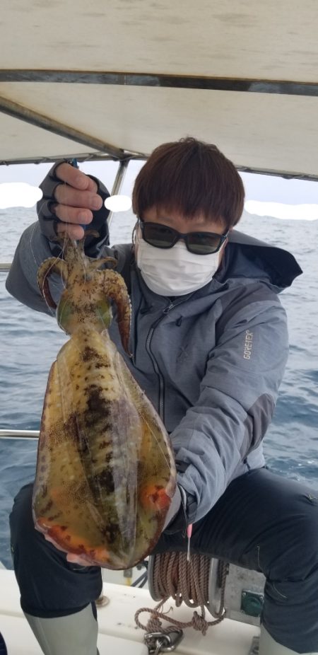 ソルトウォーターガイドフレンズ 釣果