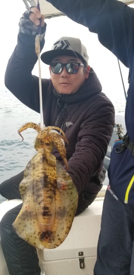 ソルトウォーターガイドフレンズ 釣果