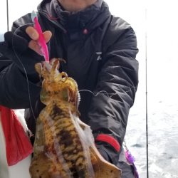 ソルトウォーターガイドフレンズ 釣果