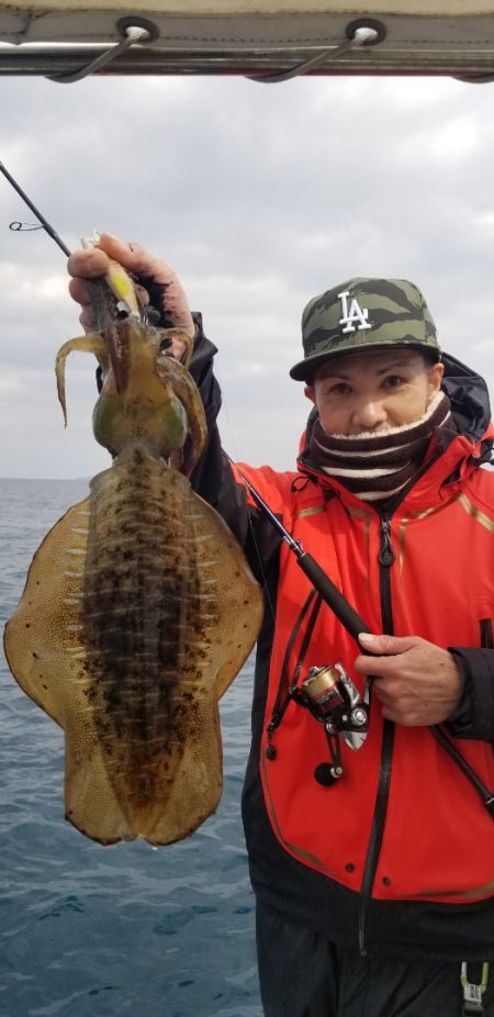 ソルトウォーターガイドフレンズ 釣果