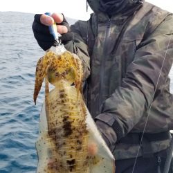 ソルトウォーターガイドフレンズ 釣果