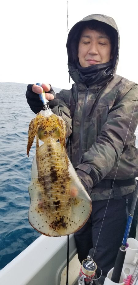 ソルトウォーターガイドフレンズ 釣果