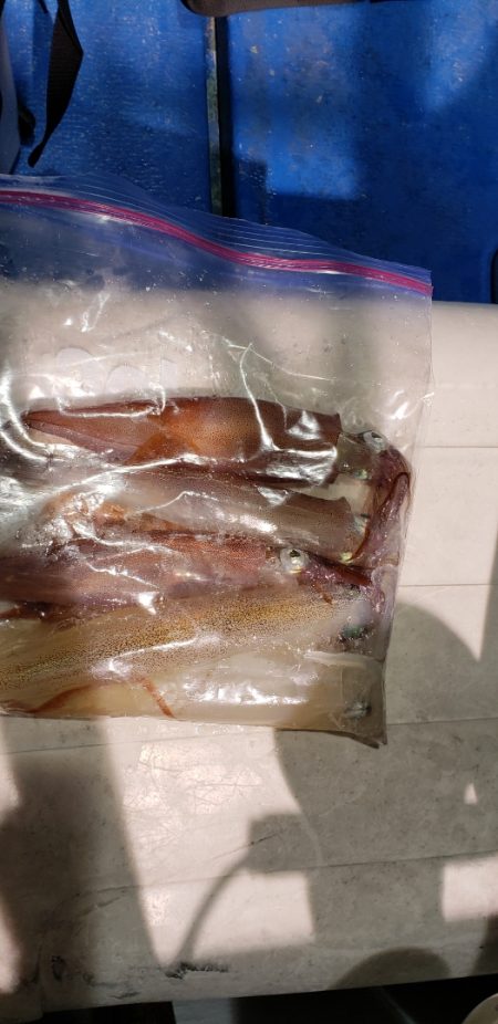 海龍丸（石川） 釣果