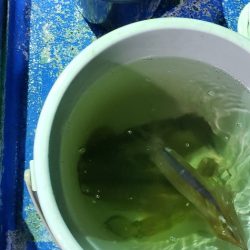 海龍丸（石川） 釣果