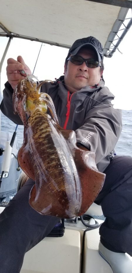 ソルトウォーターガイドフレンズ 釣果