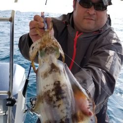 ソルトウォーターガイドフレンズ 釣果