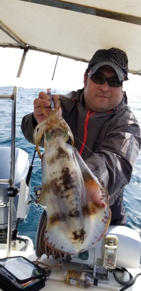 ソルトウォーターガイドフレンズ 釣果