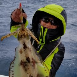 ソルトウォーターガイドフレンズ 釣果