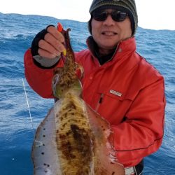 ソルトウォーターガイドフレンズ 釣果