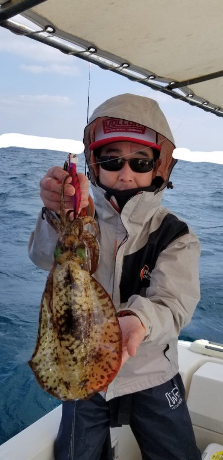 ソルトウォーターガイドフレンズ 釣果