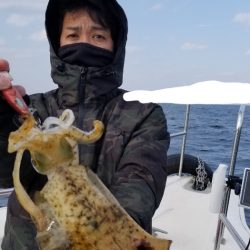 ソルトウォーターガイドフレンズ 釣果