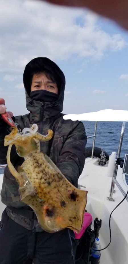 ソルトウォーターガイドフレンズ 釣果