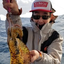 ソルトウォーターガイドフレンズ 釣果