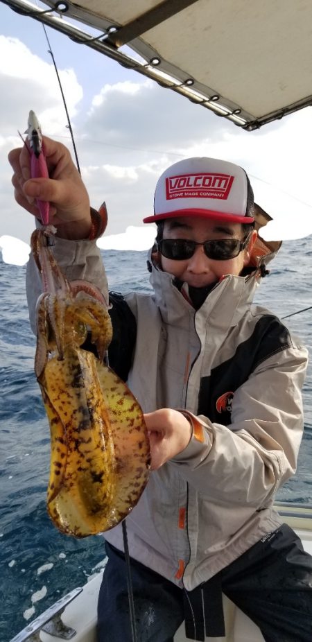 ソルトウォーターガイドフレンズ 釣果