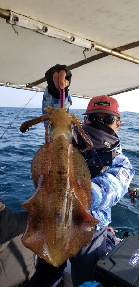 ソルトウォーターガイドフレンズ 釣果