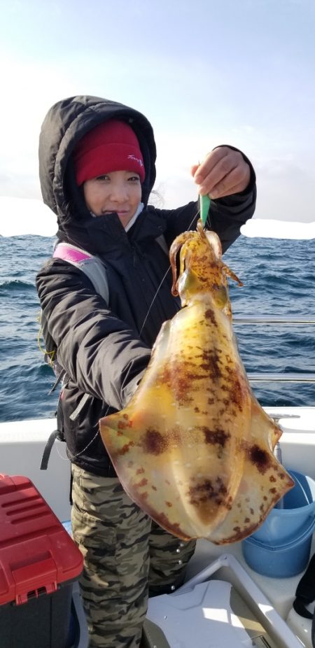 ソルトウォーターガイドフレンズ 釣果