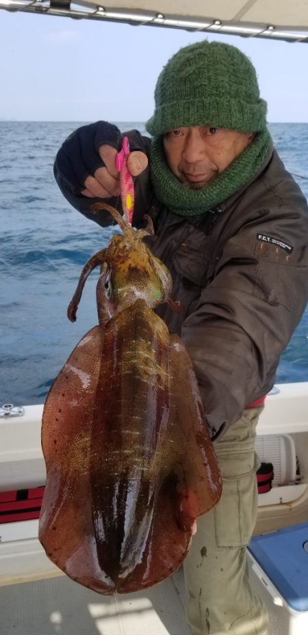 ソルトウォーターガイドフレンズ 釣果