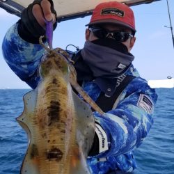 ソルトウォーターガイドフレンズ 釣果