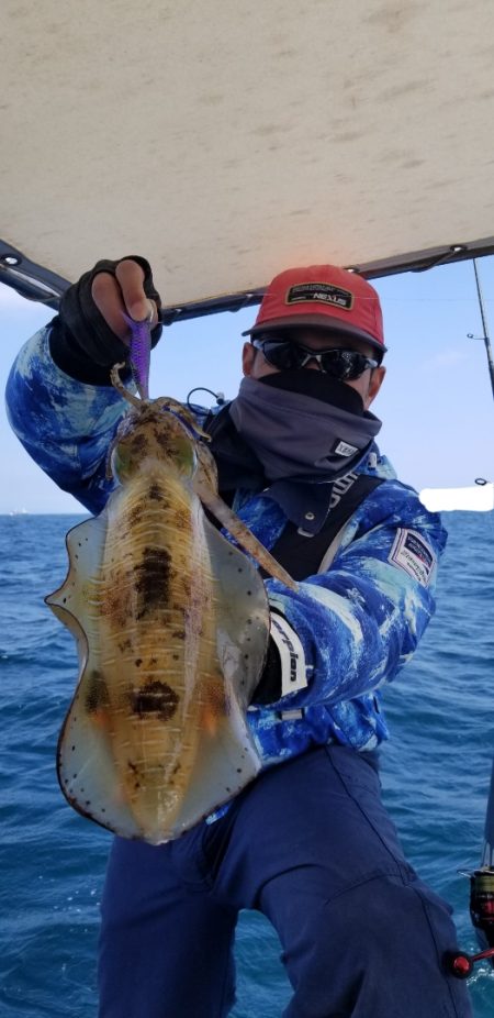 ソルトウォーターガイドフレンズ 釣果