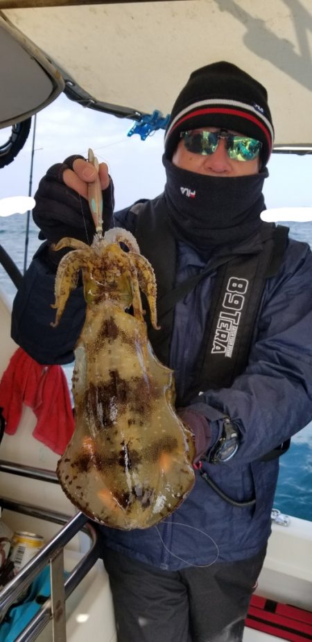 ソルトウォーターガイドフレンズ 釣果