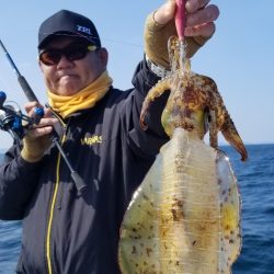 ソルトウォーターガイドフレンズ 釣果