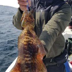 ソルトウォーターガイドフレンズ 釣果