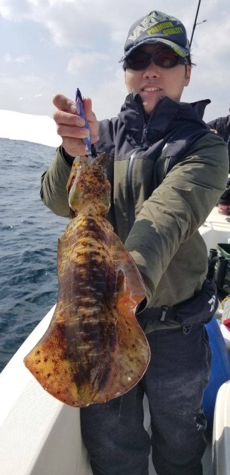 ソルトウォーターガイドフレンズ 釣果