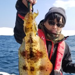 ソルトウォーターガイドフレンズ 釣果