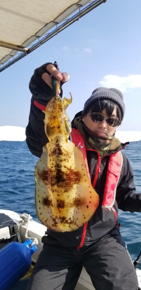 ソルトウォーターガイドフレンズ 釣果