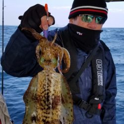 ソルトウォーターガイドフレンズ 釣果