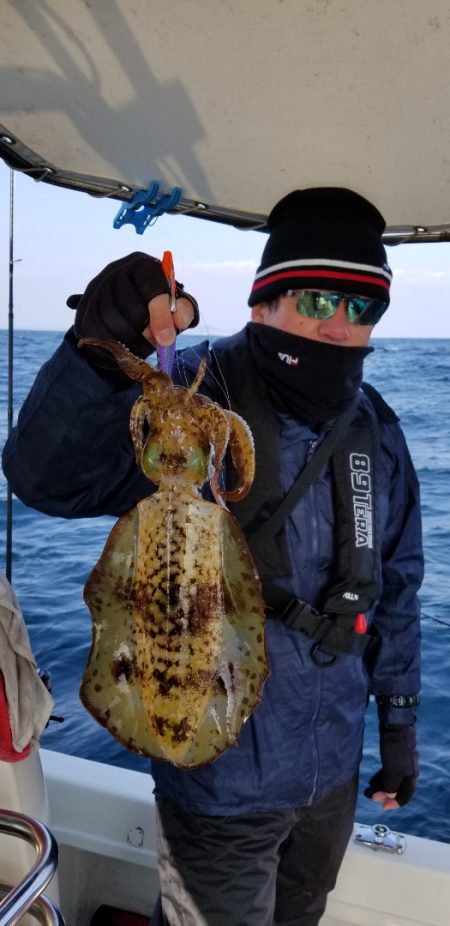 ソルトウォーターガイドフレンズ 釣果