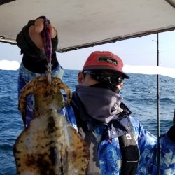 ソルトウォーターガイドフレンズ 釣果