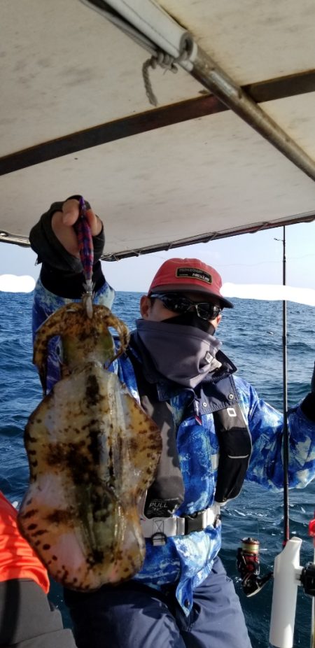 ソルトウォーターガイドフレンズ 釣果