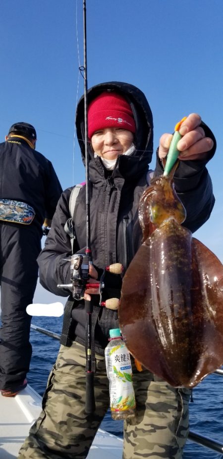 ソルトウォーターガイドフレンズ 釣果