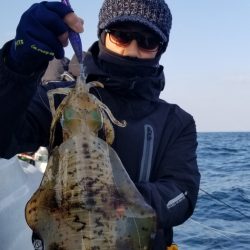 ソルトウォーターガイドフレンズ 釣果