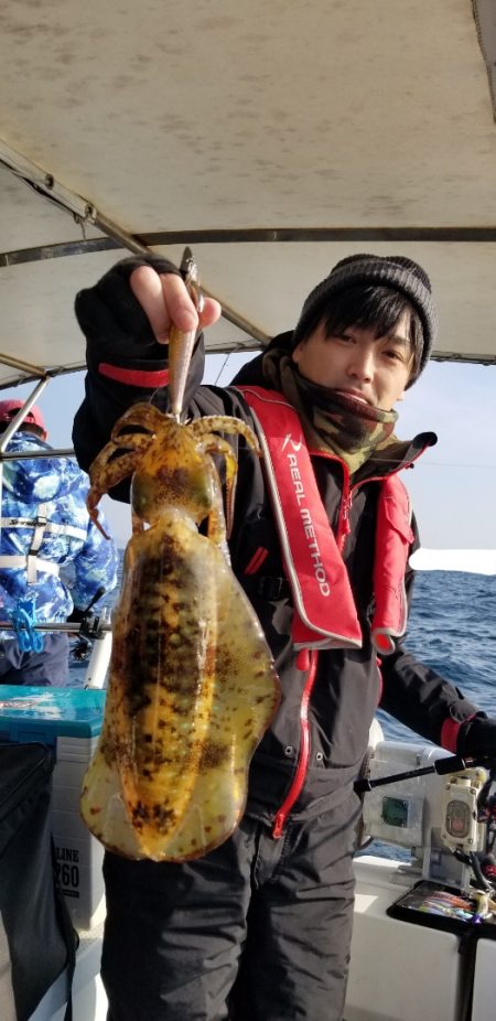 ソルトウォーターガイドフレンズ 釣果