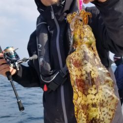 ソルトウォーターガイドフレンズ 釣果