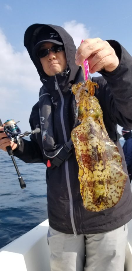 ソルトウォーターガイドフレンズ 釣果