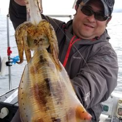 ソルトウォーターガイドフレンズ 釣果