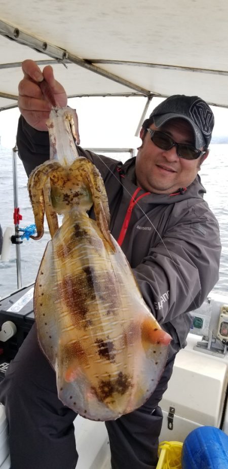 ソルトウォーターガイドフレンズ 釣果