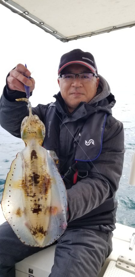 ソルトウォーターガイドフレンズ 釣果