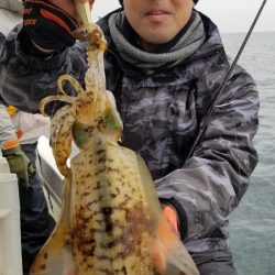 ソルトウォーターガイドフレンズ 釣果