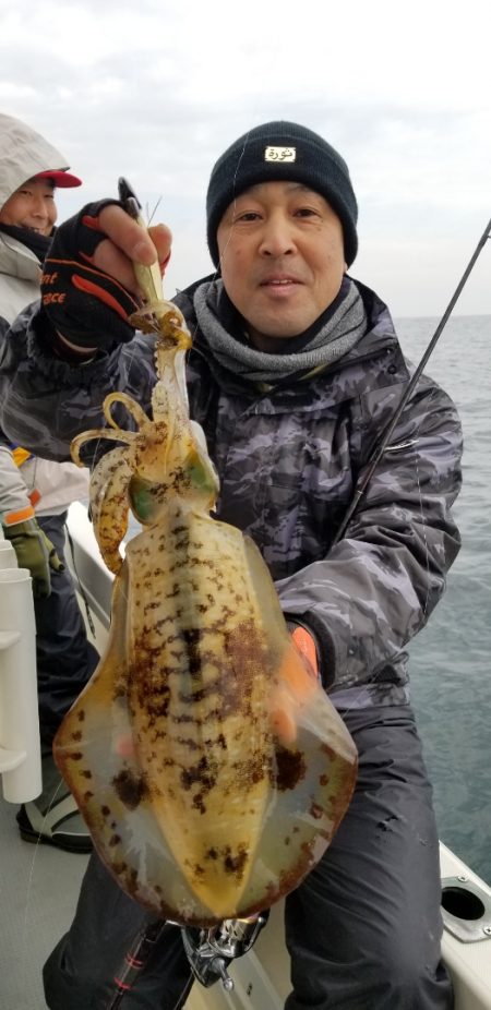 ソルトウォーターガイドフレンズ 釣果