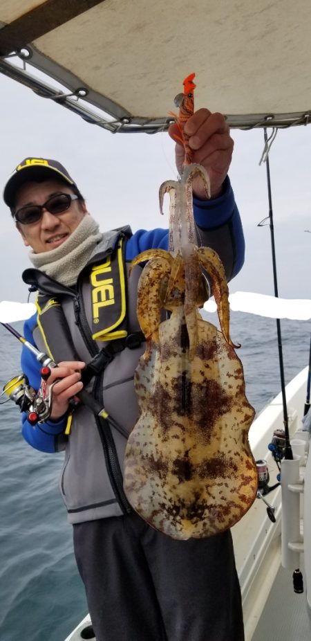 ソルトウォーターガイドフレンズ 釣果